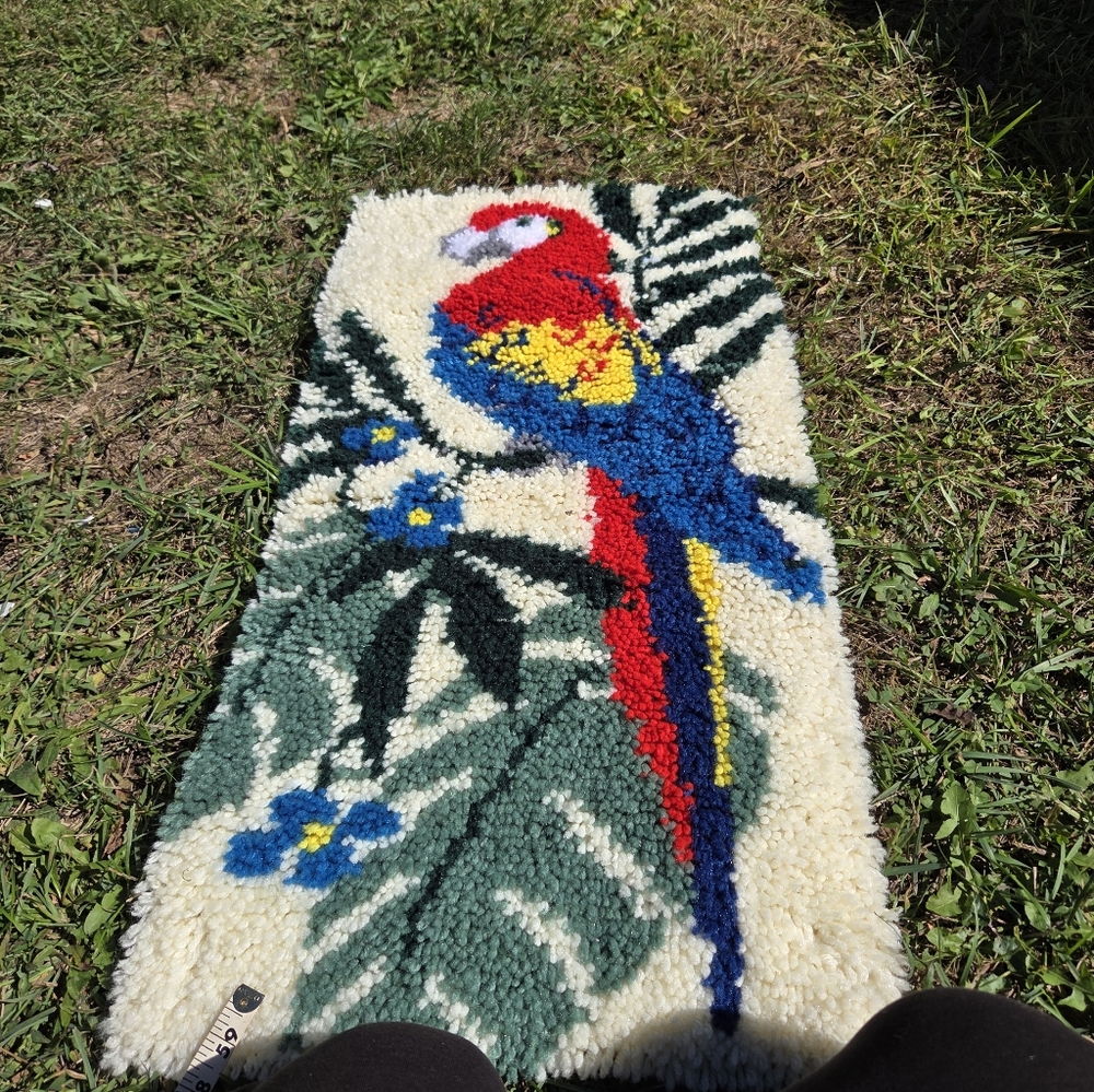 Colorful Parrot Bird Rug for Pets Latcha Hook  33 By 16 Wide.